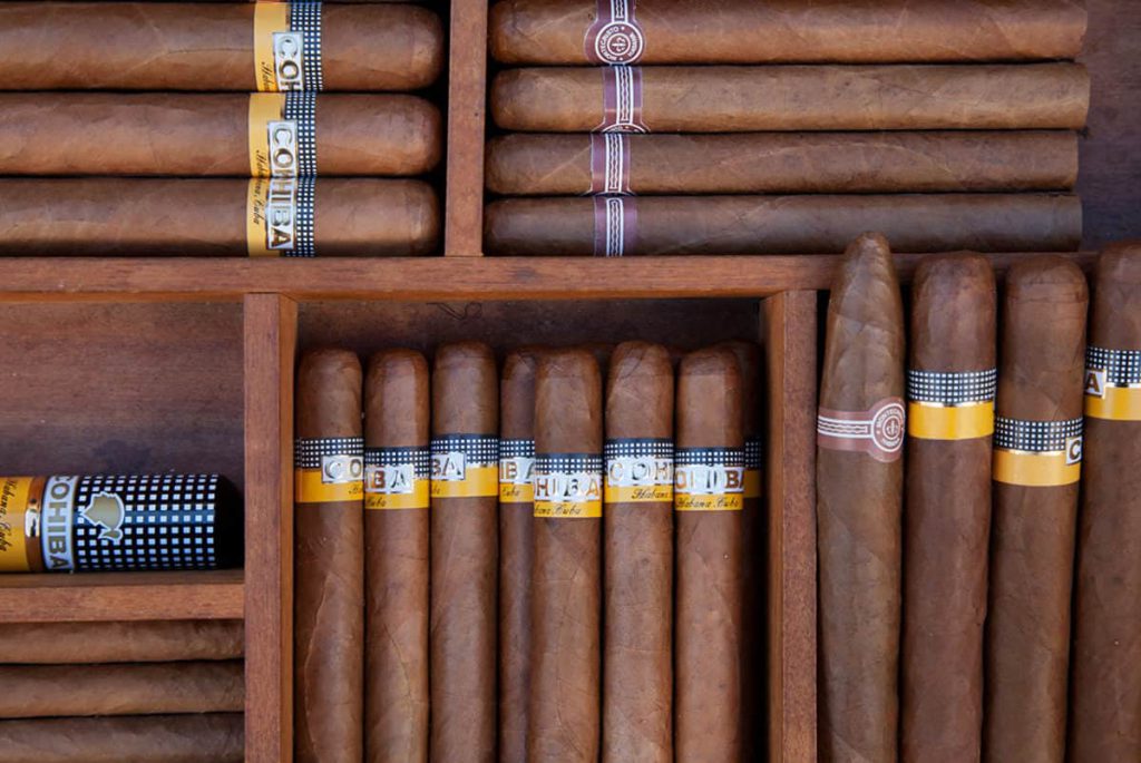 Popular media references as evidence of trade-mark fame